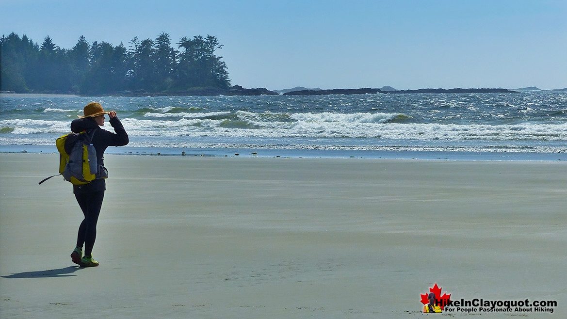 Vargas Island Hike Tofino