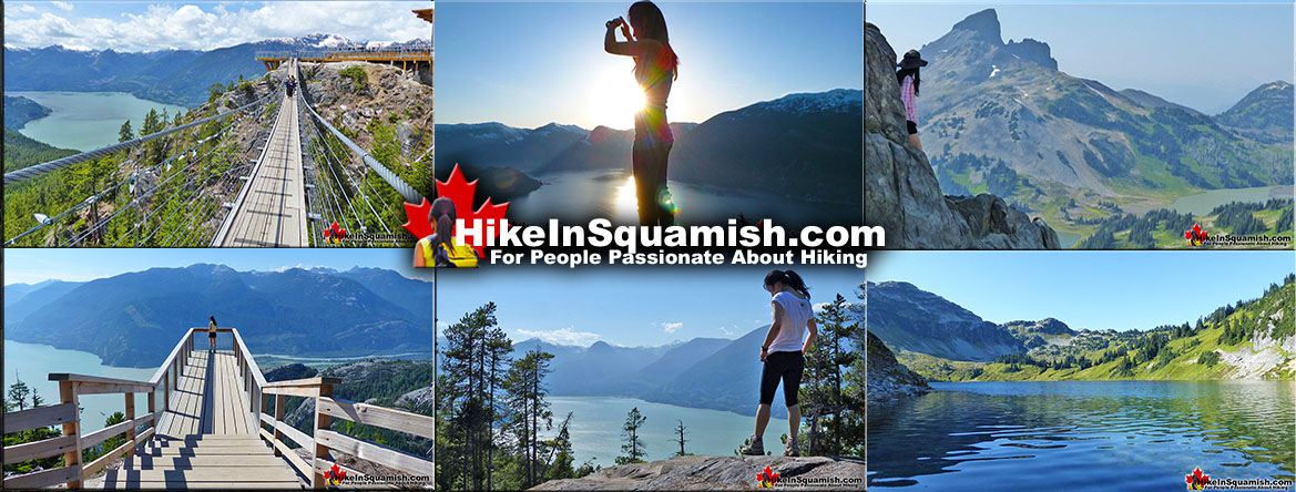 Best Squamish Trails Guides