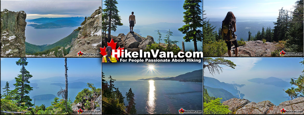 Best Vancouver Hiking Trails