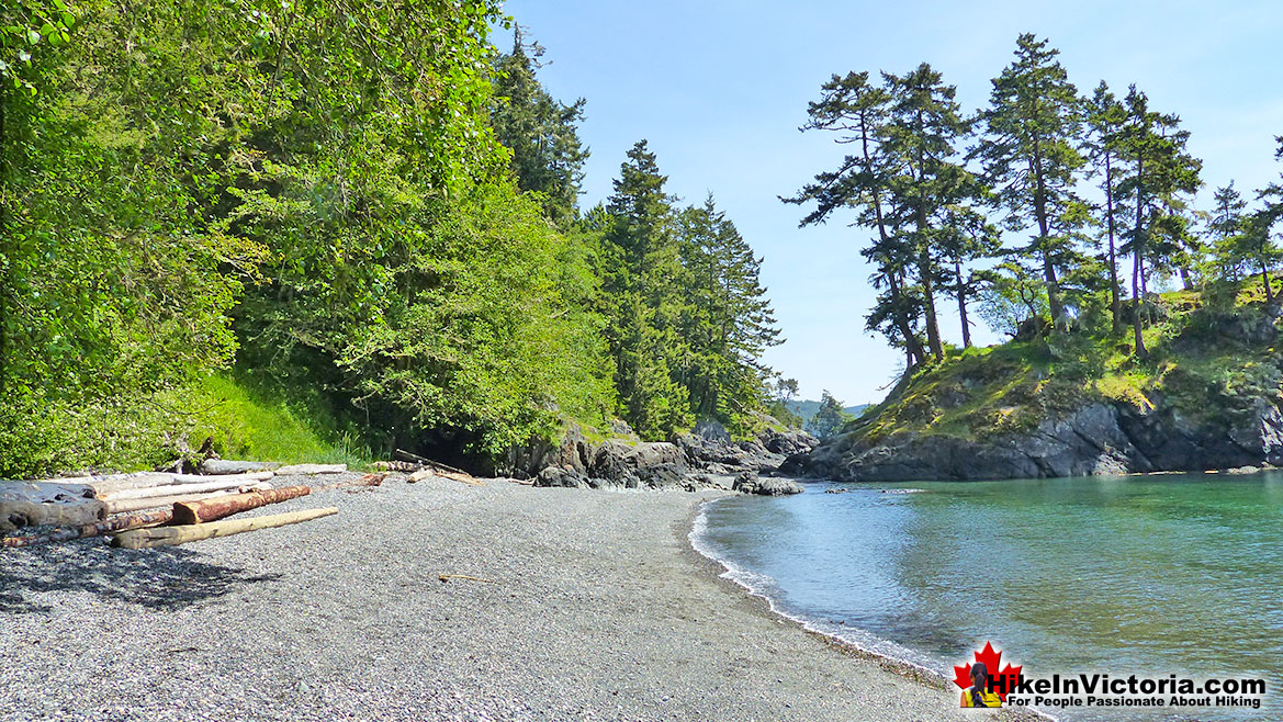 East Sooke Park Hike in Victoria