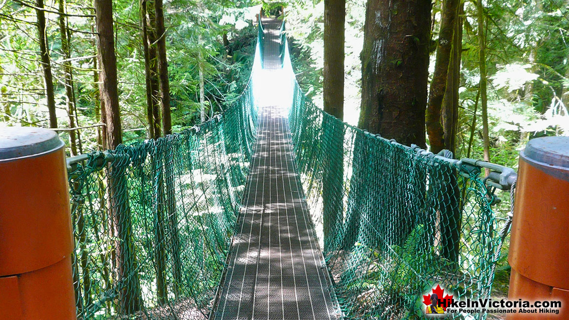 Juan de Fuca Trail in Victoria