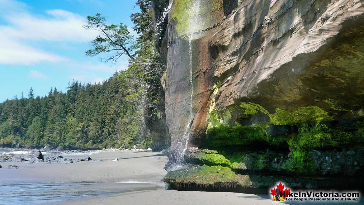 Mystic Beach Juan de Fuca Trail