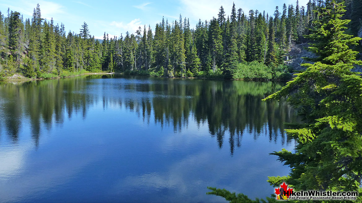 Newt Lake Alpine Paradise