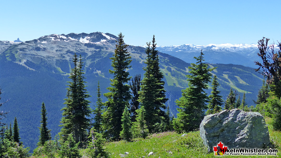 Blackcomb Mountain Hike in Whistler