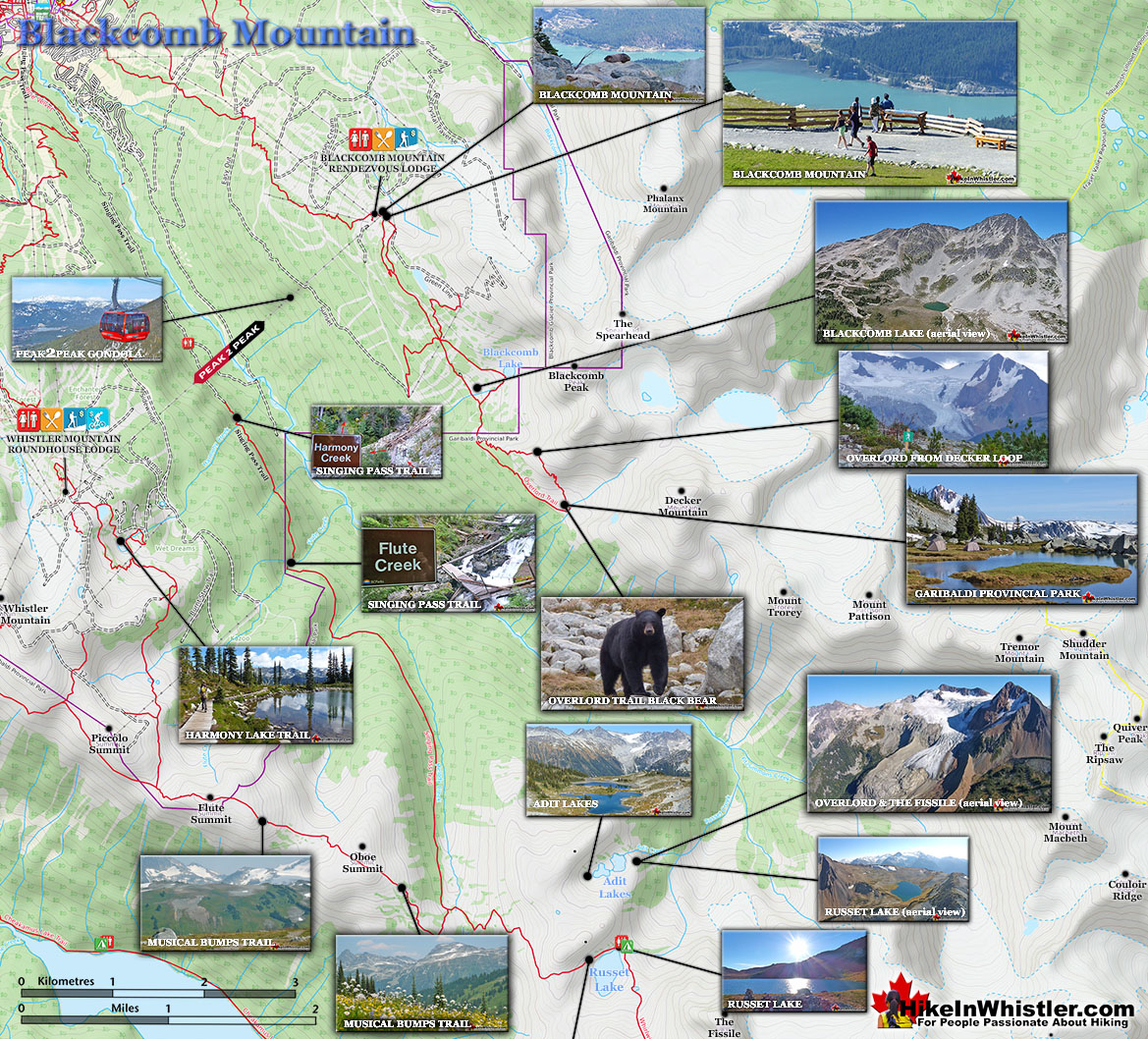 Blackcomb Map 2021 v4