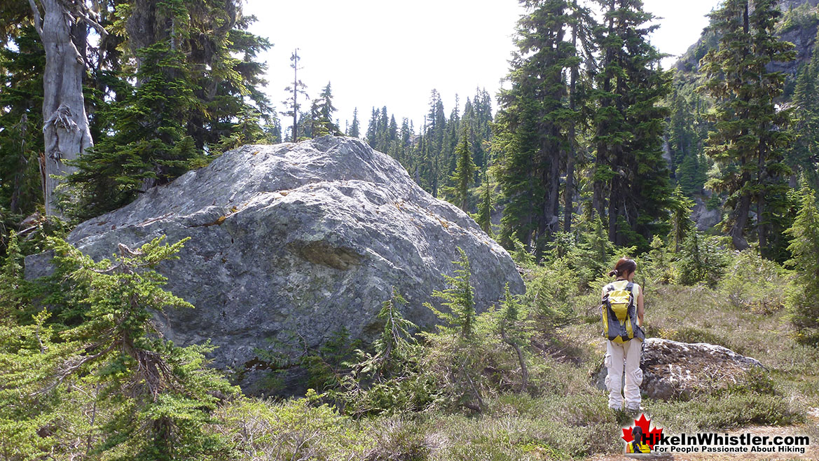 Brandywine Meadows Erratic