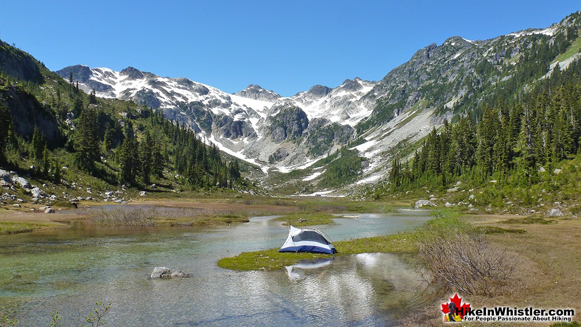 Brandywine Meadows Tent View