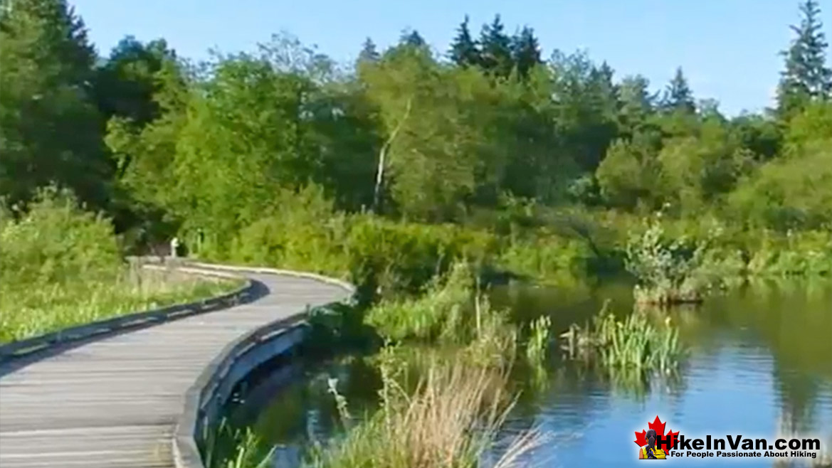 Burnaby Lake Regional Park