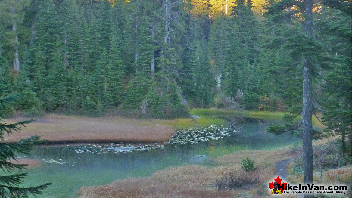 Goldie Lake Hike in Vancouver