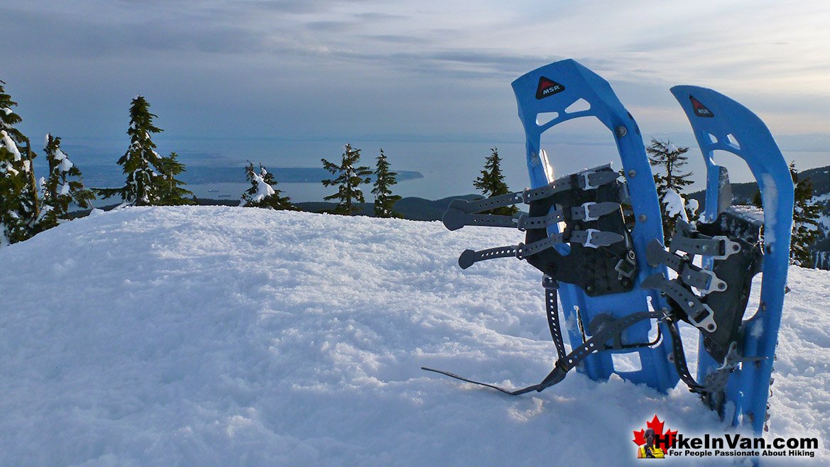 Hollyburn Mountain Snowshoeing