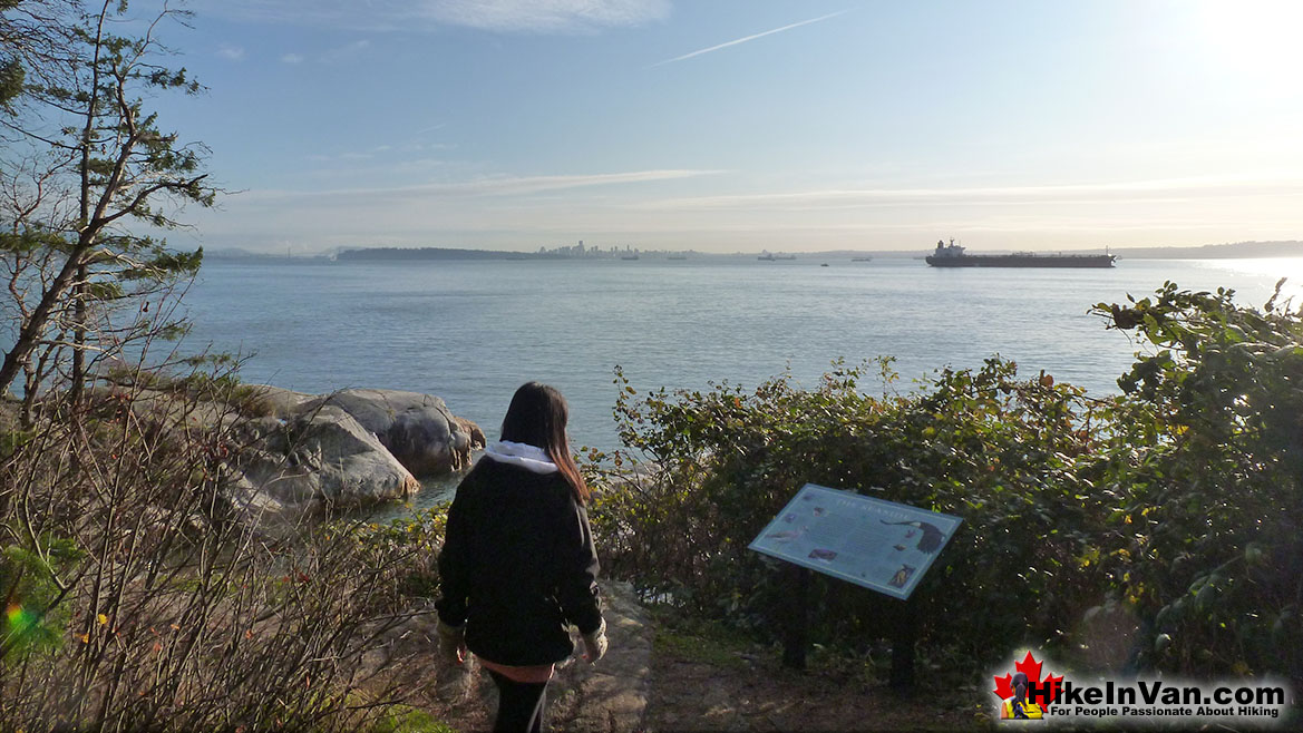 Lighthouse Park Hike in Vancouver