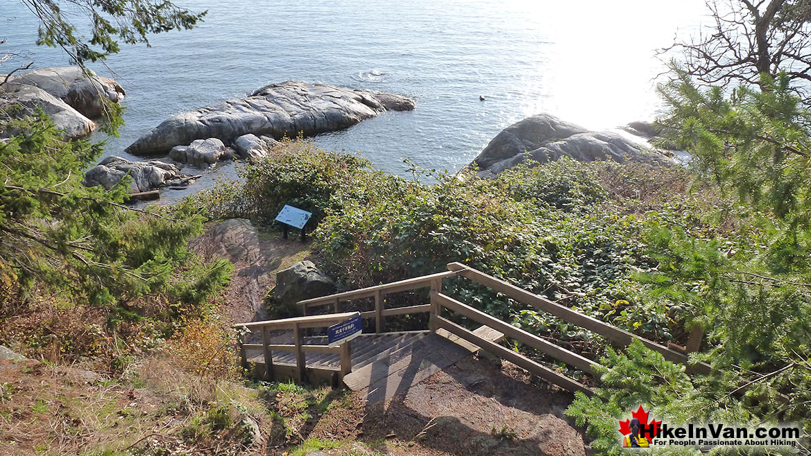 Lighthouse Park Hike in Vancouver