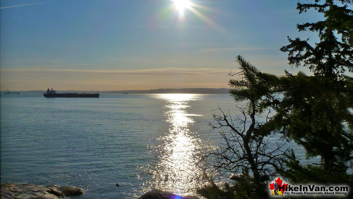 Lighthouse Park Hike in Vancouver