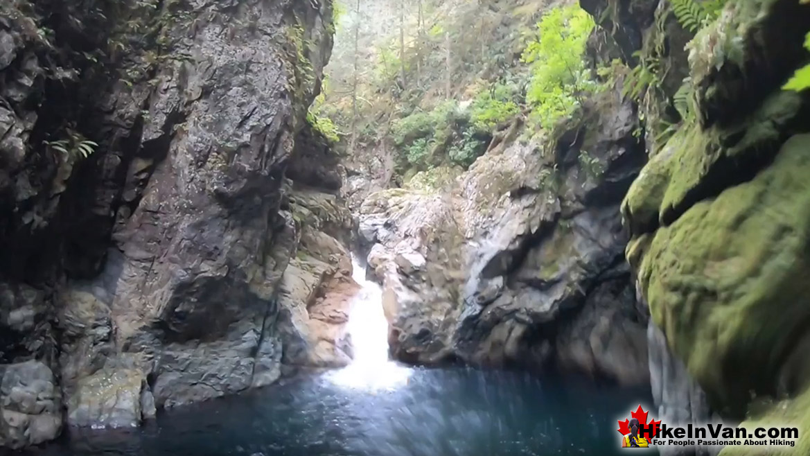 Lynn Canyon Park Hike in Vancouver