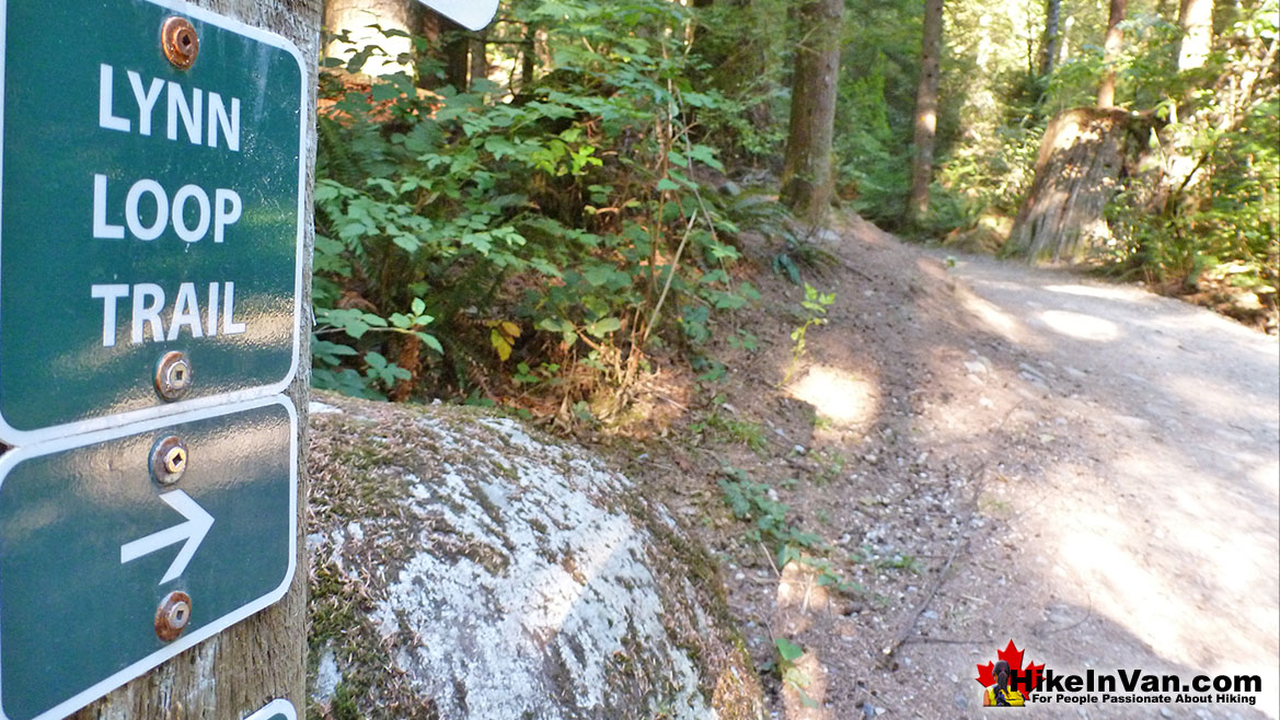 Lynn Peak Hike in Vancouver