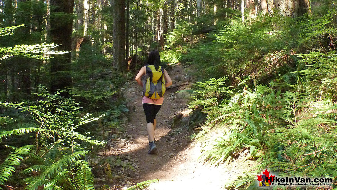 Lynn Peak Hike in Vancouver