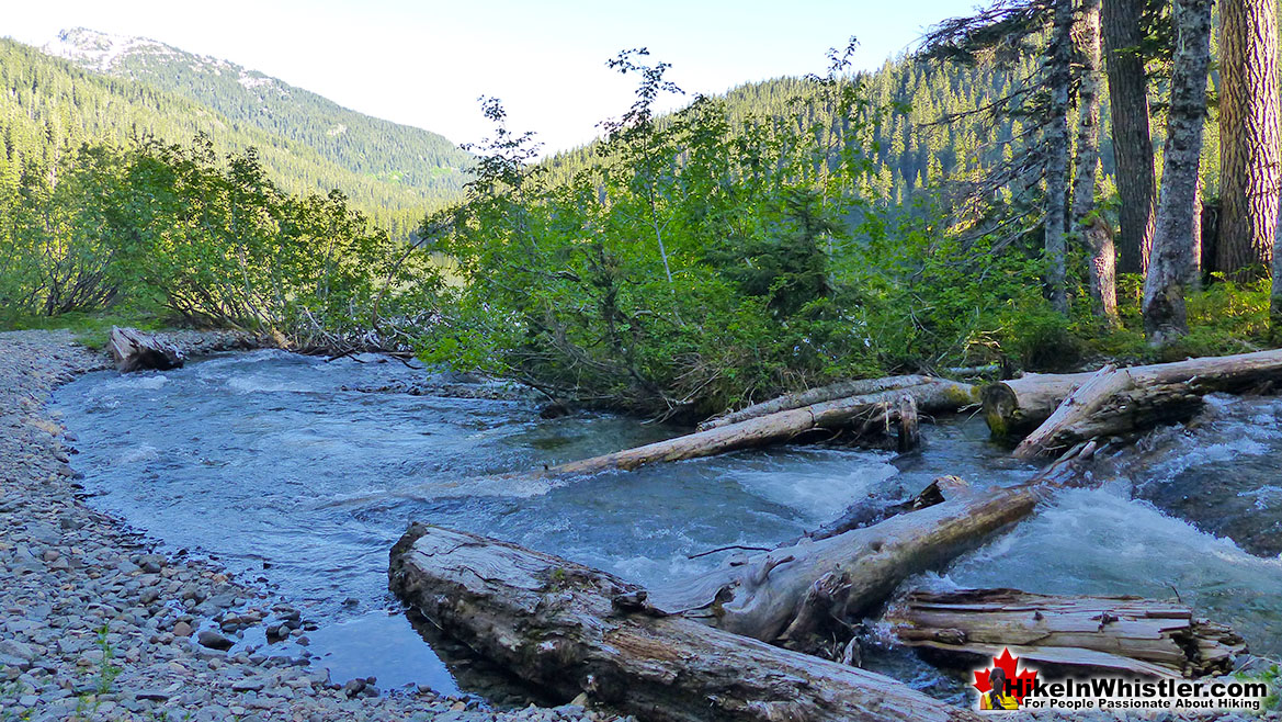 Madeley Lake Hike in Whistler