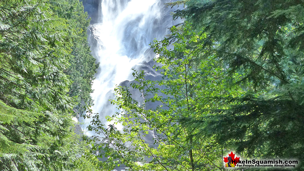 Shannon Falls Hike in Squamish