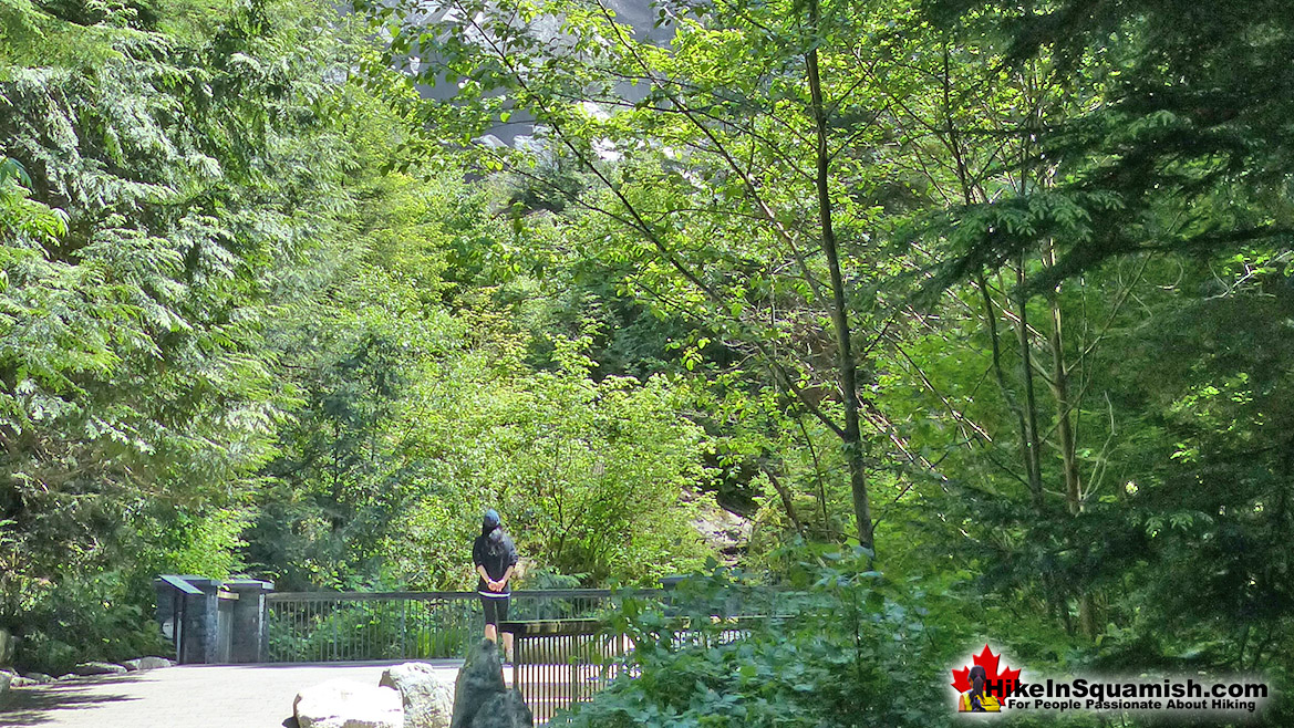 Shannon Falls Hike in Squamish