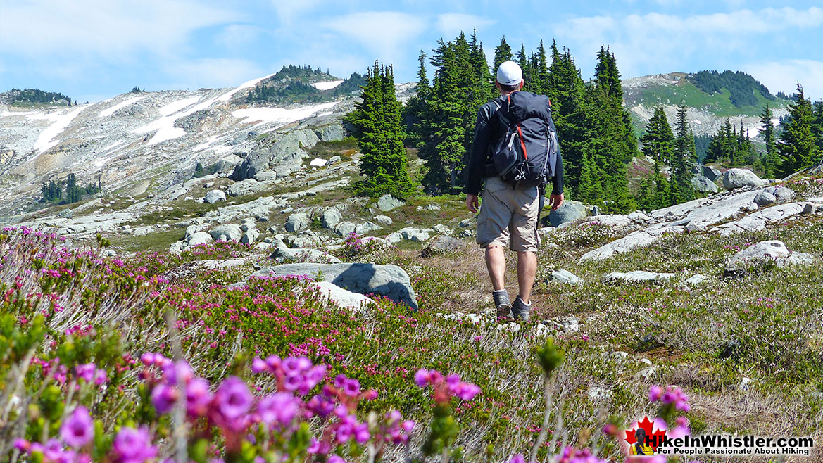 Mount Sproatt Hike in Whistler