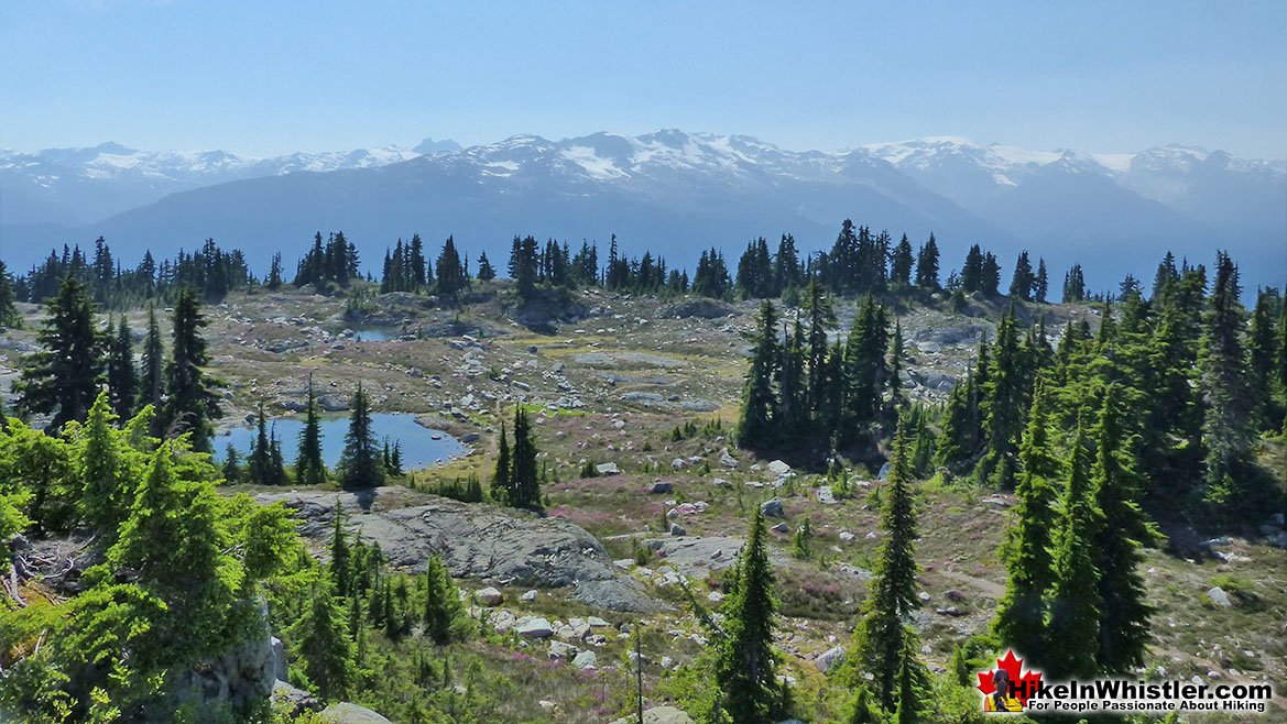 Mount Sproatt Hike in Whistler