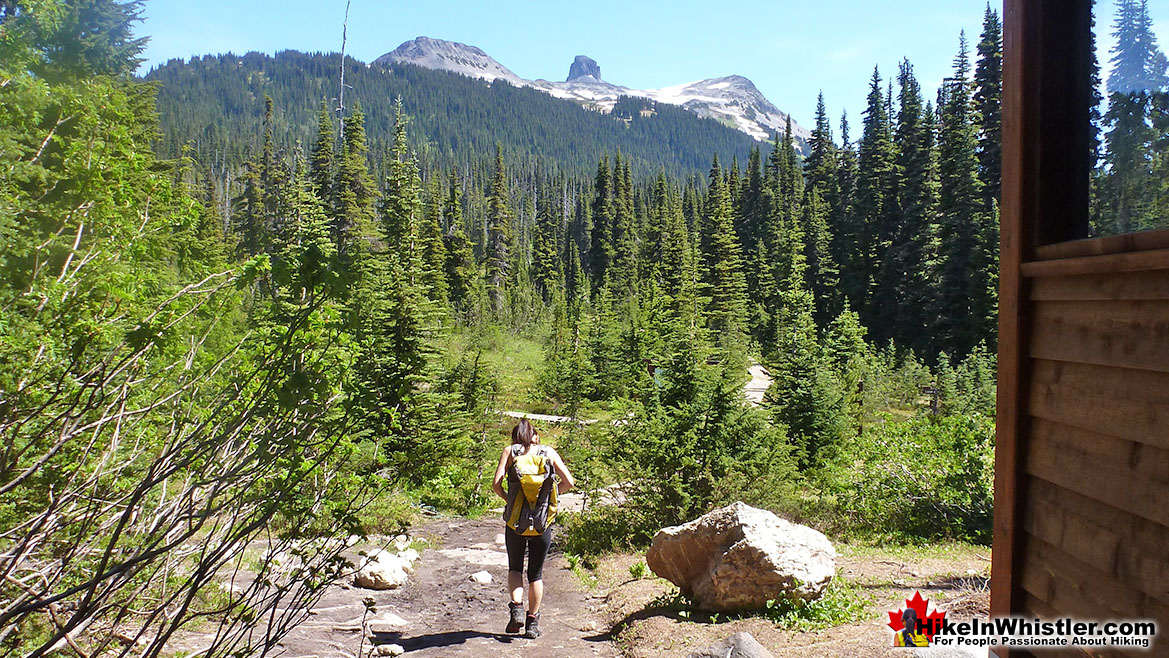 Taylor Meadows Campground