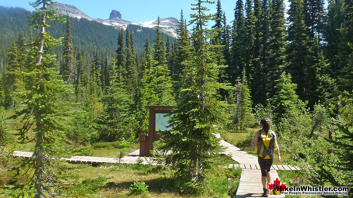 Taylor Meadows in Garibaldi Provincial Park