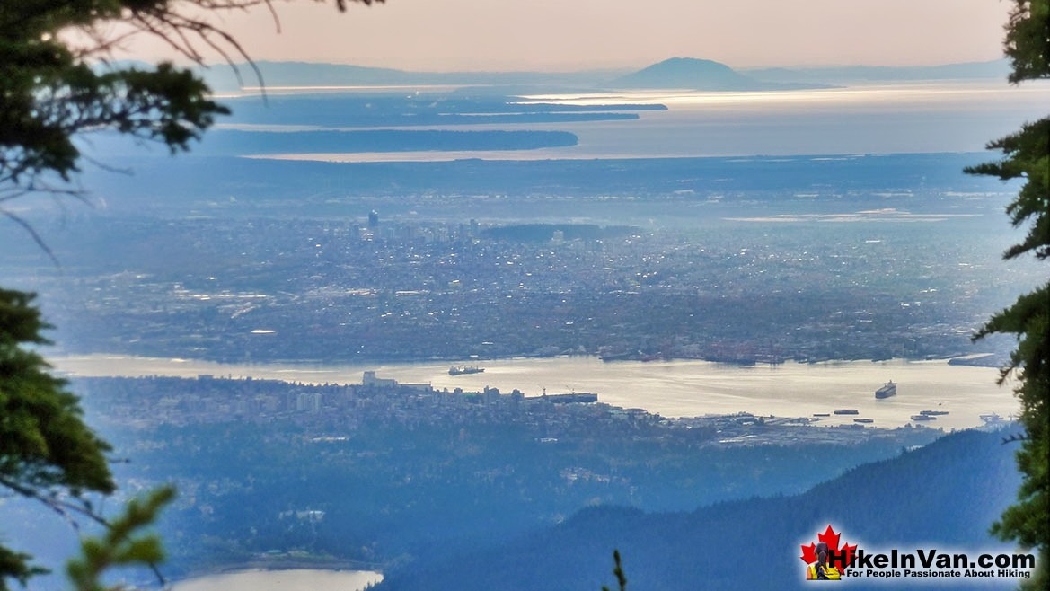 The Lions Trail View