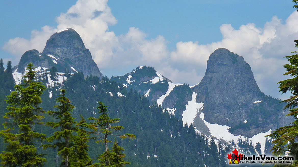 The Lions from St Mark's Summit